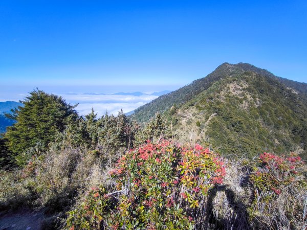 2026-02-09 庫哈諾辛山2998905