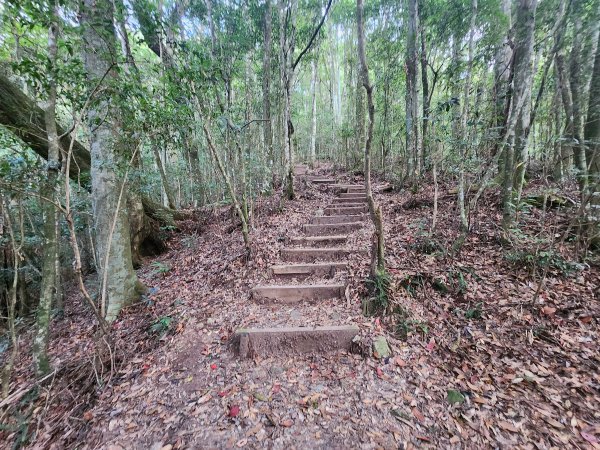 20250831鳶嘴稍來2928599