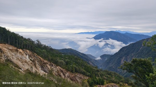 114.11.28-29 雙龍林道~巒安堂~西巒大山2954851