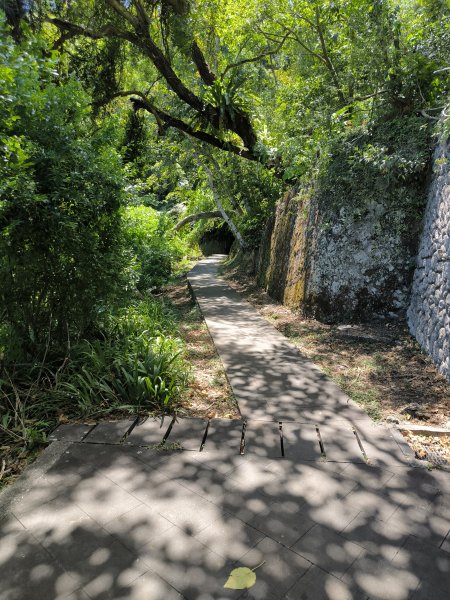 20250917微笑山線：【二格山系】和美山螢火蟲段2888893