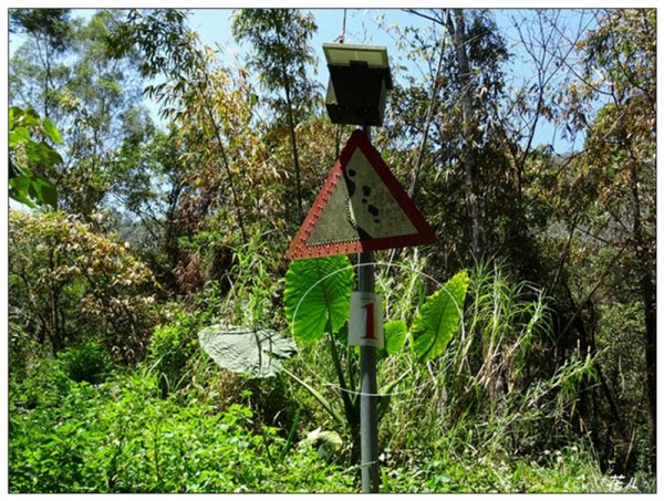 沙蓮山西南峰、砂連山連走(台中/和平)1664180