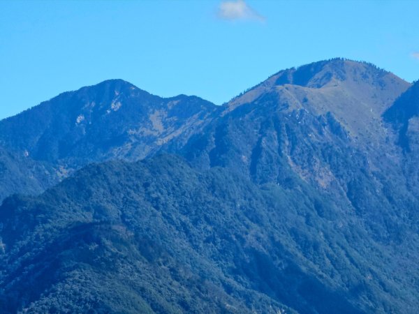 東卯山-谷關七雄(老五)2991598