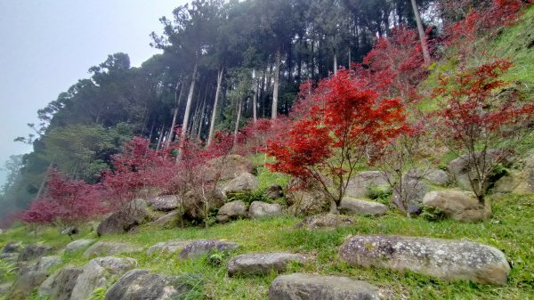 杉林溪一日遊1661540