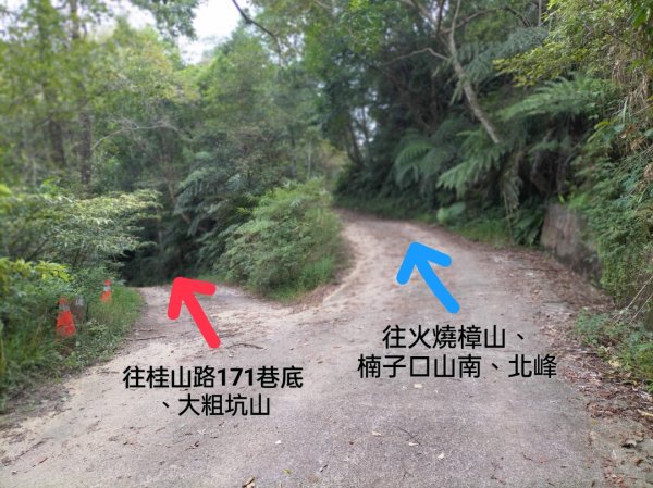 新店桂山路197巷-產業道路-幽靜山路-潺潺小溪-幽靜山路-原路折返2322163