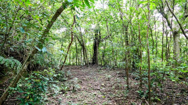 石古井,青林山,畝畝山,平溪子山2854682