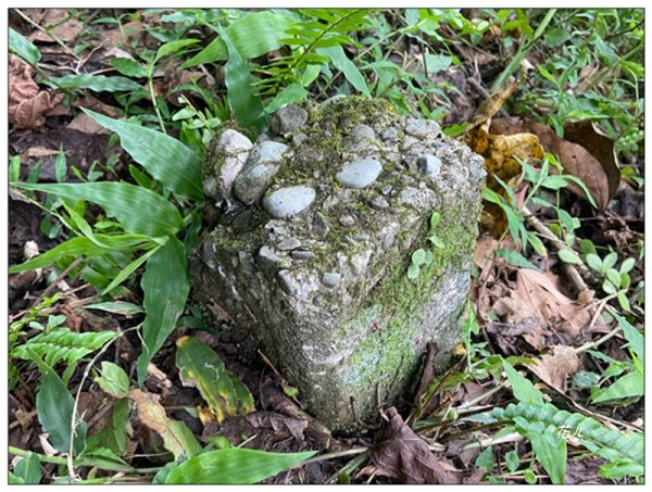 聖母峰、三角崙山 (抹茶山) 連走2802250