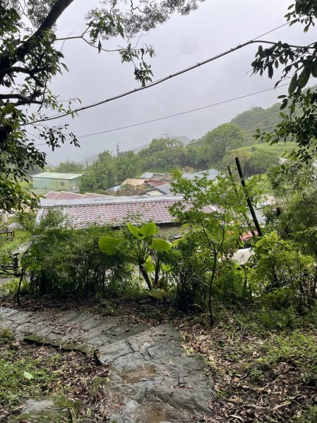 台北大縱走第四段2798723