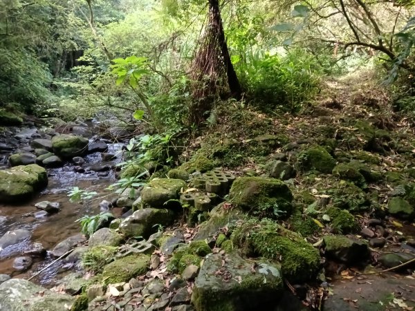 平溪區番子坑古步道O型3042599