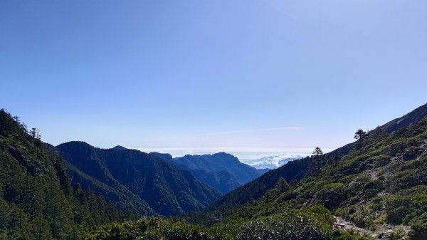 雪山主東峰步道2801390