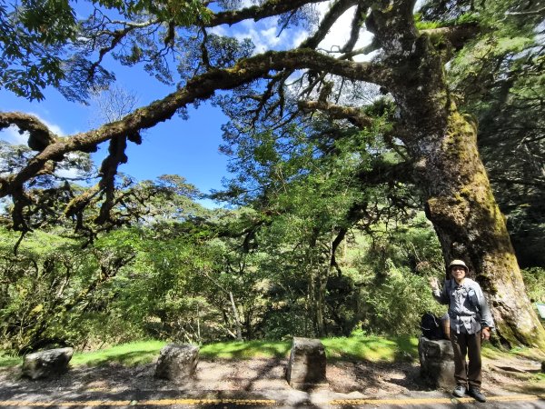 [玉山尋寶任務-09/12] 2025_0928 麟趾山步道2899882