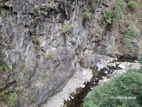 2025.02.08 限時秘境?菜市場? 北港溪峽谷步道2709006