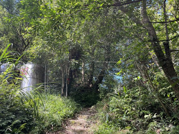 [微笑山線_第九段] 2025_0914 二格山系_皇帝殿東峰2889476