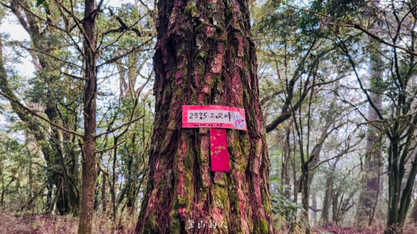 億年橋上志佳陽2960144