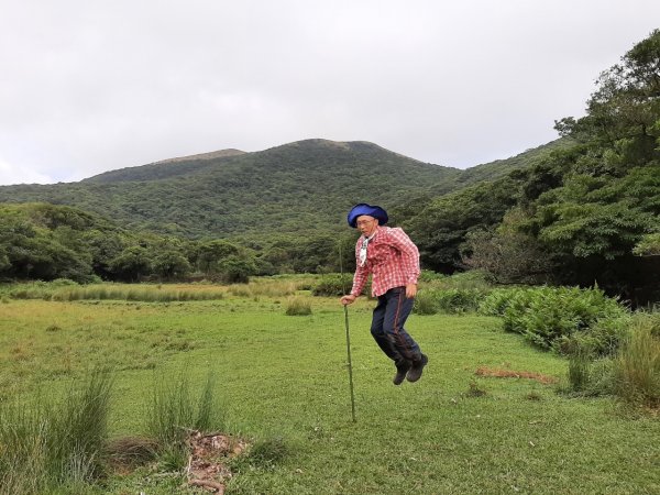 擎天崗→磺嘴山生態保護區→磺嘴山 H912m→翠翠谷→榮潤古道→內雙溪古道→冷擎步道→冷水坑1487610