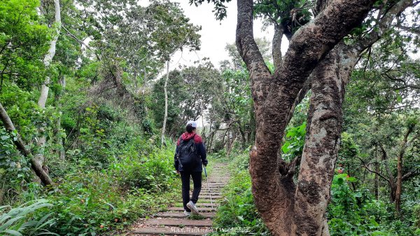 《彰化》古意人文｜員林18觀音O繞大峰巷挑水古道202504122759462