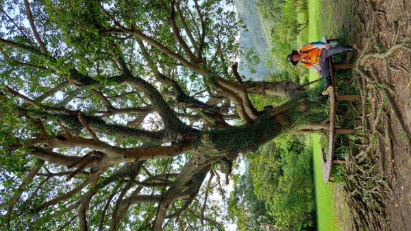 新北萬里丁火朽山、八斗山連走2768661