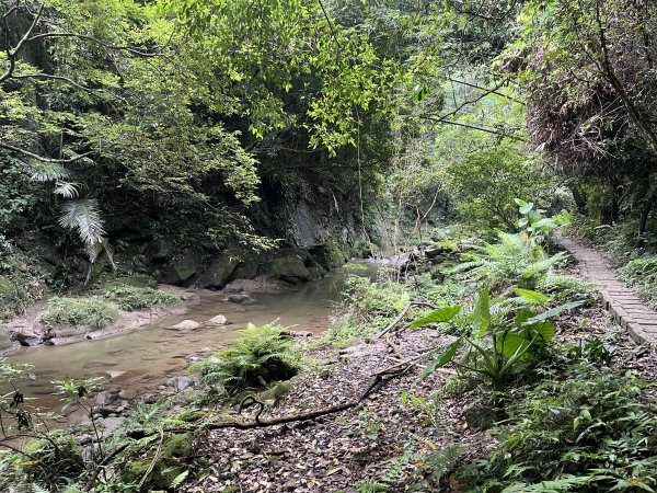 [皮皮獅探險隊-06/10] 2025_0706 四寮溪生態步道2831983