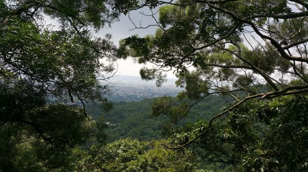 聚興山、新田登山步道 2017 0816156687