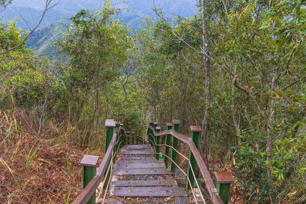 [南投]後尖山3015594