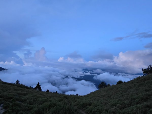 志佳陽大山（回程走高繞環山獵人登山步道）2542213