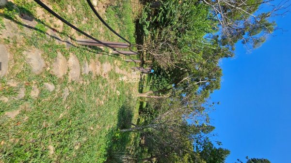 【誰是本尊？誰又是分身？】解鎖第53座小百岳#038鐵砧山2903841