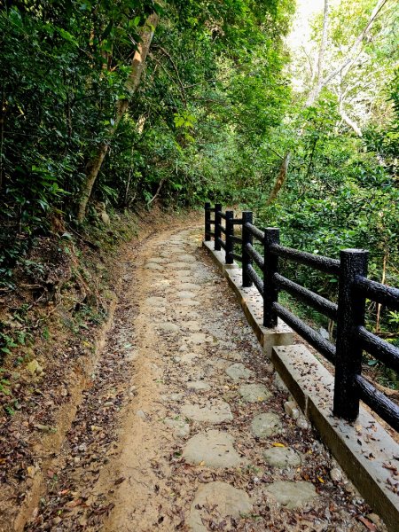 石光古道-2025森遊竹縣皮皮獅探險隊2889127