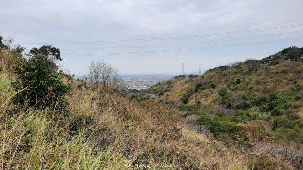 《台中》桃李爭妍｜竹坑南寮步道上竹坑山接瑞井步道O繞202502092710064