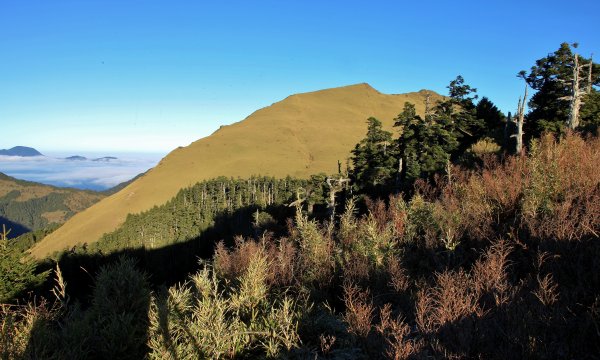 大寒/合歡群峰515948