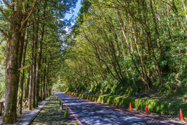 [宜蘭]明池森林遊樂區2725157