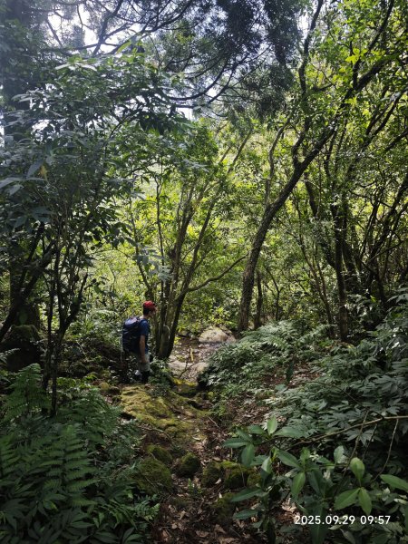 2025-0929 鹿堀坪古道2899434