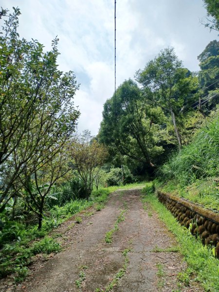 【新竹五峰】迷霧山林。 民都有山登山步道(面托油山)x民都有山北峰2991859