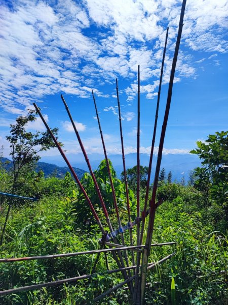 關刀山-小百岳#36-苗栗縣三義鄉2244998