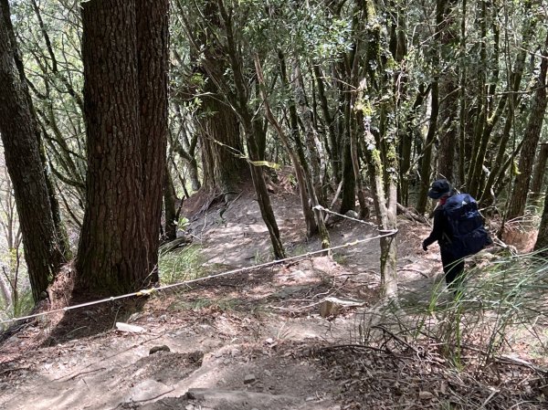 屏風山屋住一晚2916016