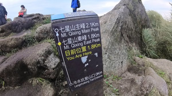 20250501_陽明山東西大縱走-round#32784143