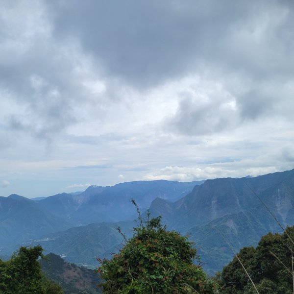 阿里山頂湖步道＞大凍山＞頂湖自然生態區2505519