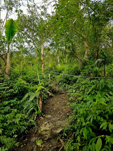 初音山-小百岳#88-花蓮縣吉安鄉2726092