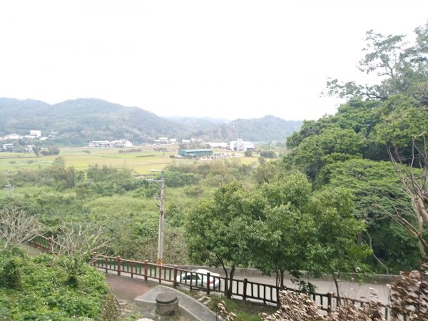 蓮華山步道上蕨類地毯1600946