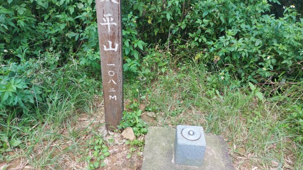 雲嘉九連峰1438962