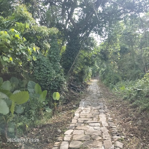 齋明寺古道2839502