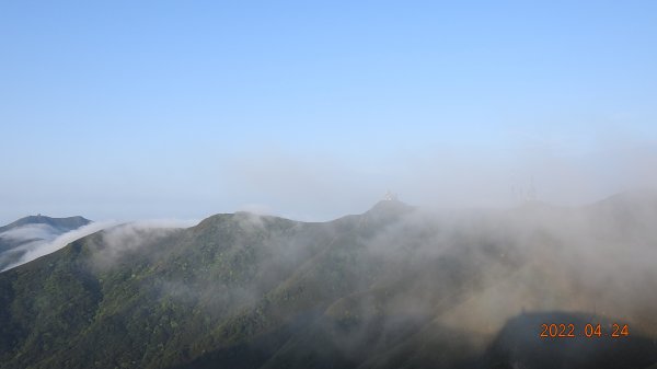 4/24陽明山再見雲瀑&觀音圈-雲山水花鳥蝶-天龍國阿伯的日常-首拍守城滿山紅&端紅蝶交尾1686975