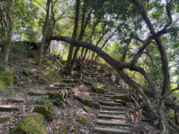南觀音山步道2731305