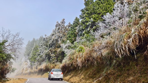 #霧淞 #雲海 #雲瀑 #霧虹 #太平山 #望洋山 #觀雲步道 #翠峰道路  2/82995230