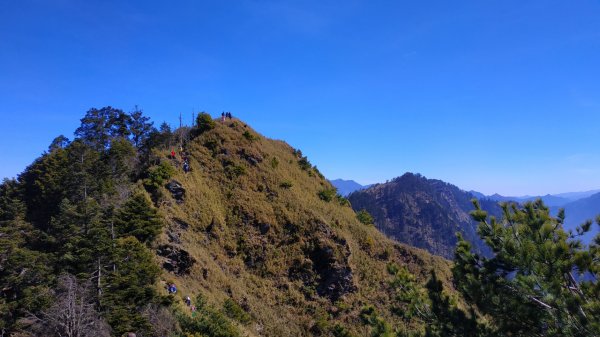 搭車很久很顛的百岳菜市場，郡大山望鄉1278611