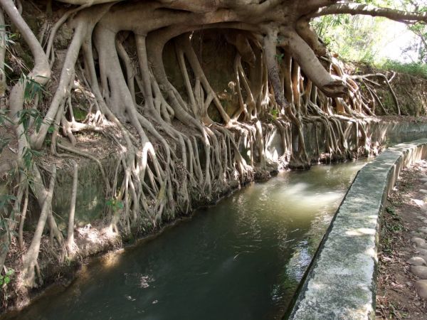 知高圳步道(前段)226891