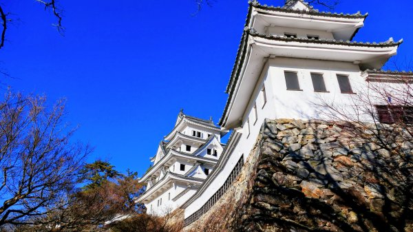 郡上八幡城的白帆2982603