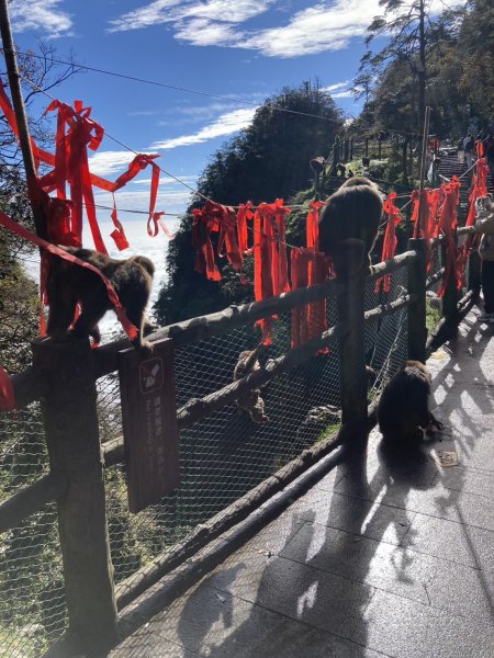 四川峨眉山 (2-1)2940231