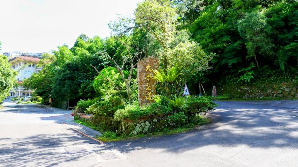 南勢坑小尖,大尖2816032