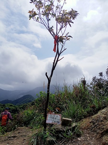 【瑞芳四秀】白象山(又名弘明山)→秀崎山→瑞芳山→龍潭山1651488