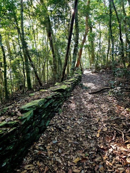 鳴海山-小百岳#71-高雄市茂林區2930874