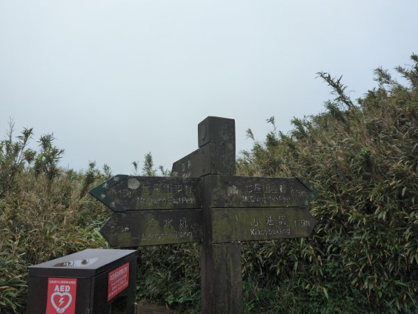 2023.04.22－七星山步道2123984